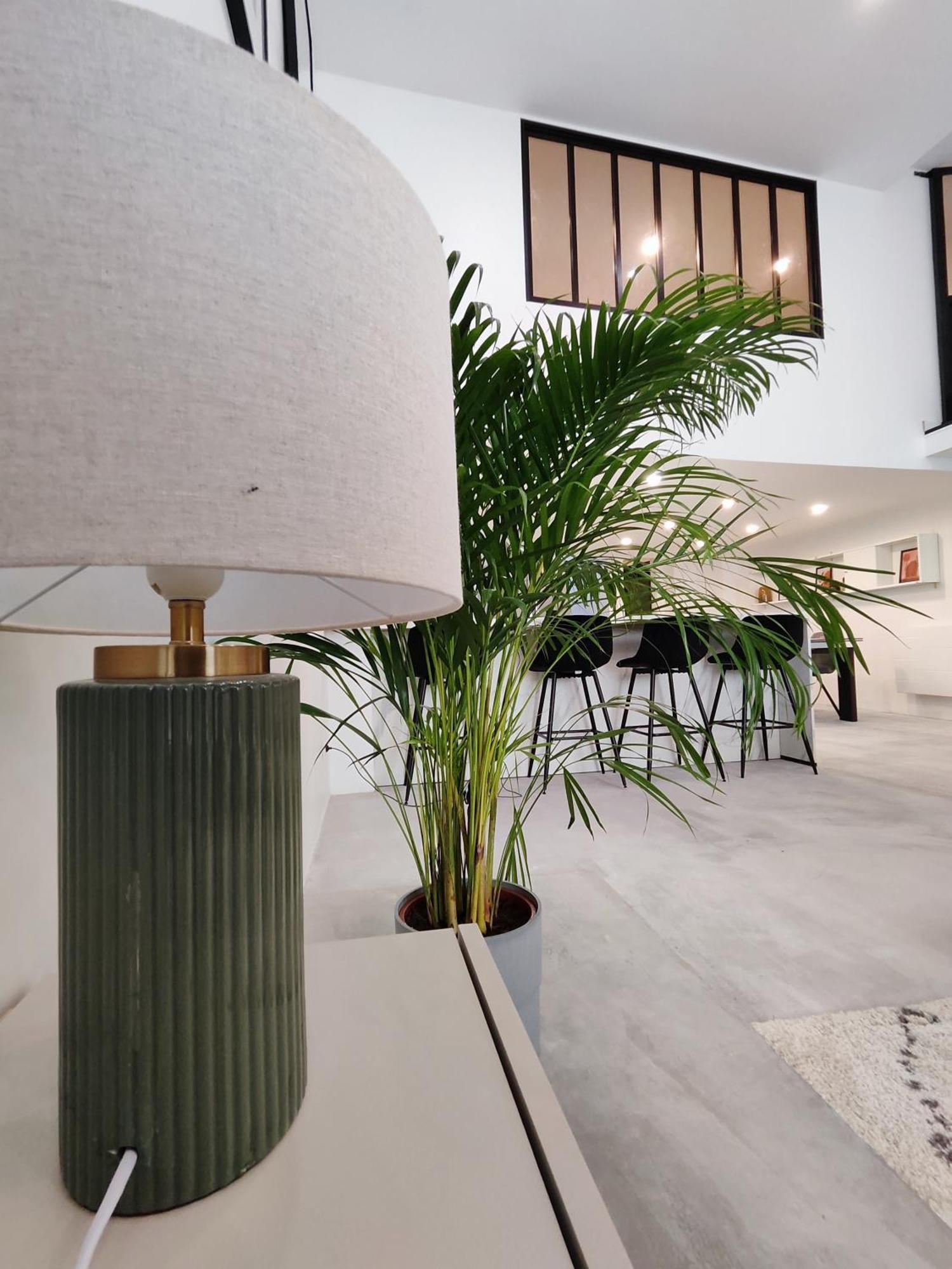 Beautiful Apartments & Loft In Beziers Center Экстерьер фото